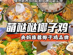 -椰梦长廊