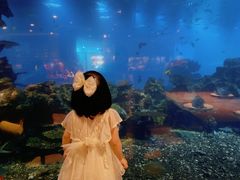 -涛·海底餐厅·美人鱼·自助餐·海底隧道(三亚海棠湾洲际度假酒店)