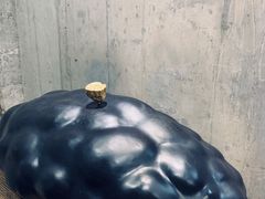 -虎虎龙虾大排档(双井店)