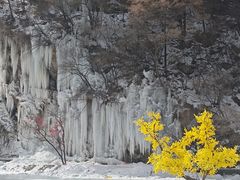 -少华山国家森林公园