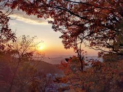 -九华山聚龙大酒店