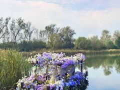 -溱湖国家湿地公园