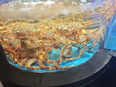 -徐记海鲜(大雁塔|金都店)