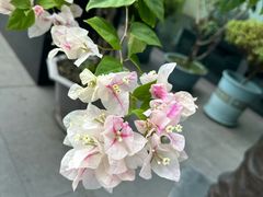 -见康道莱•足浴按摩•艾灸•SPA(友谊店)