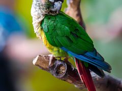 -北京野生动物园