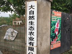 -大自然农场蔬菜草莓采摘园