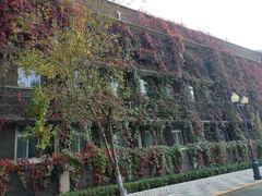 -天津五大道文化旅游区