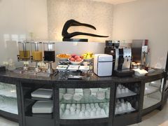 -虹桥机场国航贵宾室v8