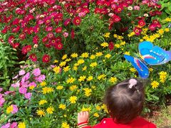 -人民公园(罗湖区)