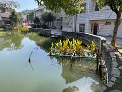 -武汉姚家山旅游景区
