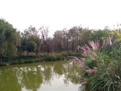 -白鹭湾湿地公园