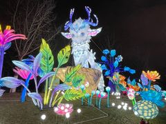 -武汉园博园(武汉自然博物馆)