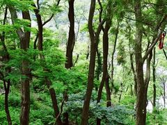 -泰山风景名胜区