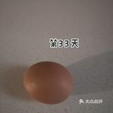 阶段性减肥第1天