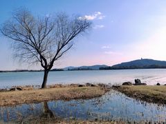 -渤公岛生态公园