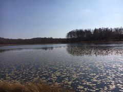 -塞罕坝国家级自然保护区