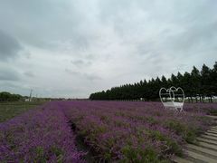 -嘉北郊野公园