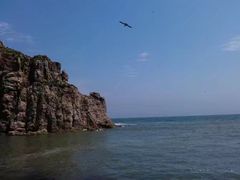 -海驴岛(荣成市)