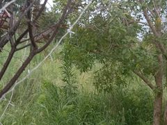 -上海杨姆庄园