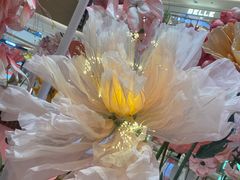 -亚马逊海鲜自助(万象汇店)