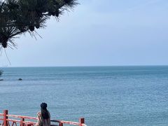 -养马岛旅游度假区