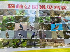 -昆山城市生态森林公园