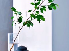 -厦门华轩里山海间酒店(原乐雅无垠酒店)