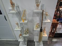 -麻麻手推拿