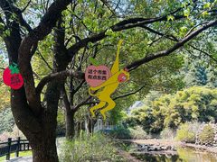 -九龙潭景区