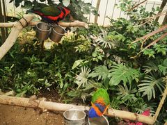 -南宫五洲植物乐园