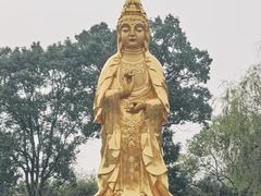-报恩禅寺