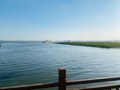 -七的湖·晚芳亭·阳澄湖农家菜·大闸蟹(莲花岛店)