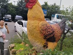 -头上红煨盐鸡·非遗院子餐厅