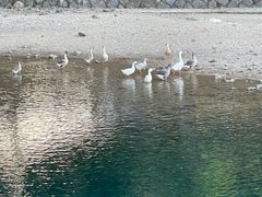 -林坑古村落
