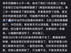 -美联众合动物医院·24h转诊中心