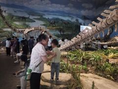 -自贡恐龙博物馆