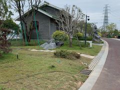 -王借岗森林公园