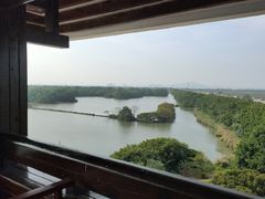 -大湾区中央湿地公园