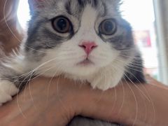 -瑞派福兴宠物医院犬猫全科·骨科·中西医结合(河东店)