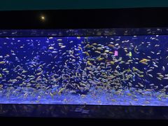 -成都浩海立方海洋公园