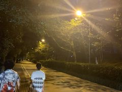 -武汉大学-樱园