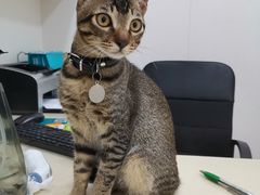 -高望村老王家(南光店)