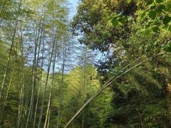 -小格里自然风景区