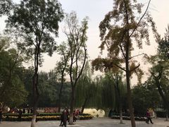 -莲湖公园