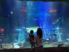 -沈阳海洋探索中心