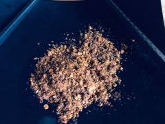 -王扯火胖哥烤生蚝(眉山首店)