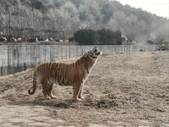 -沈阳森林动物园