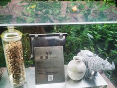 -广州神农草堂中医药博物馆