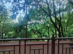 -巴倒烫陆派火锅山庄(南山总店)