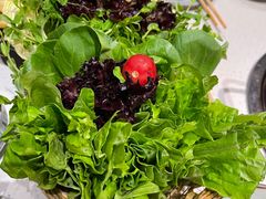 -牛村来人潮汕牛肉火锅(西单店)